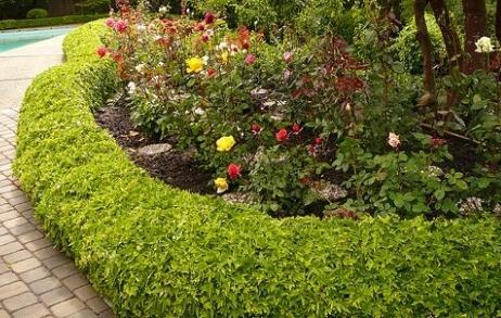 Come scegliere un confine giardino per il tuo sito?