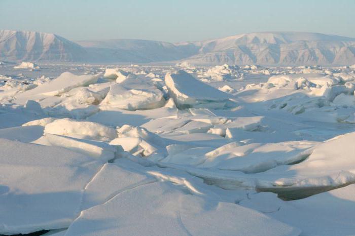 Le principali differenze tra l'Artico e l'Antartide: la descrizione e le caratteristiche