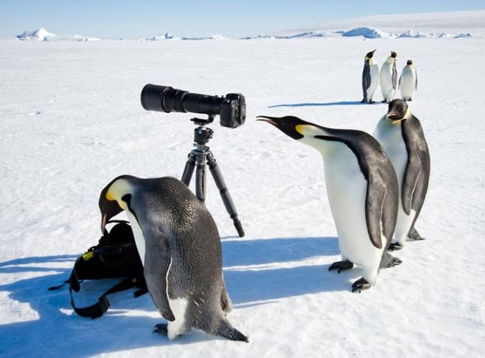 Studi moderni sull'Antartide. Studi sull'Antartide nel XXI secolo