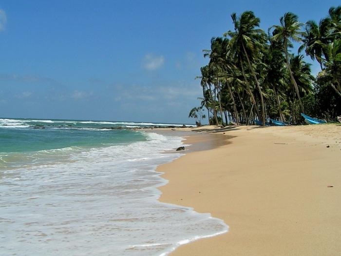 Recensioni di turisti entusiasti: Sri Lanka